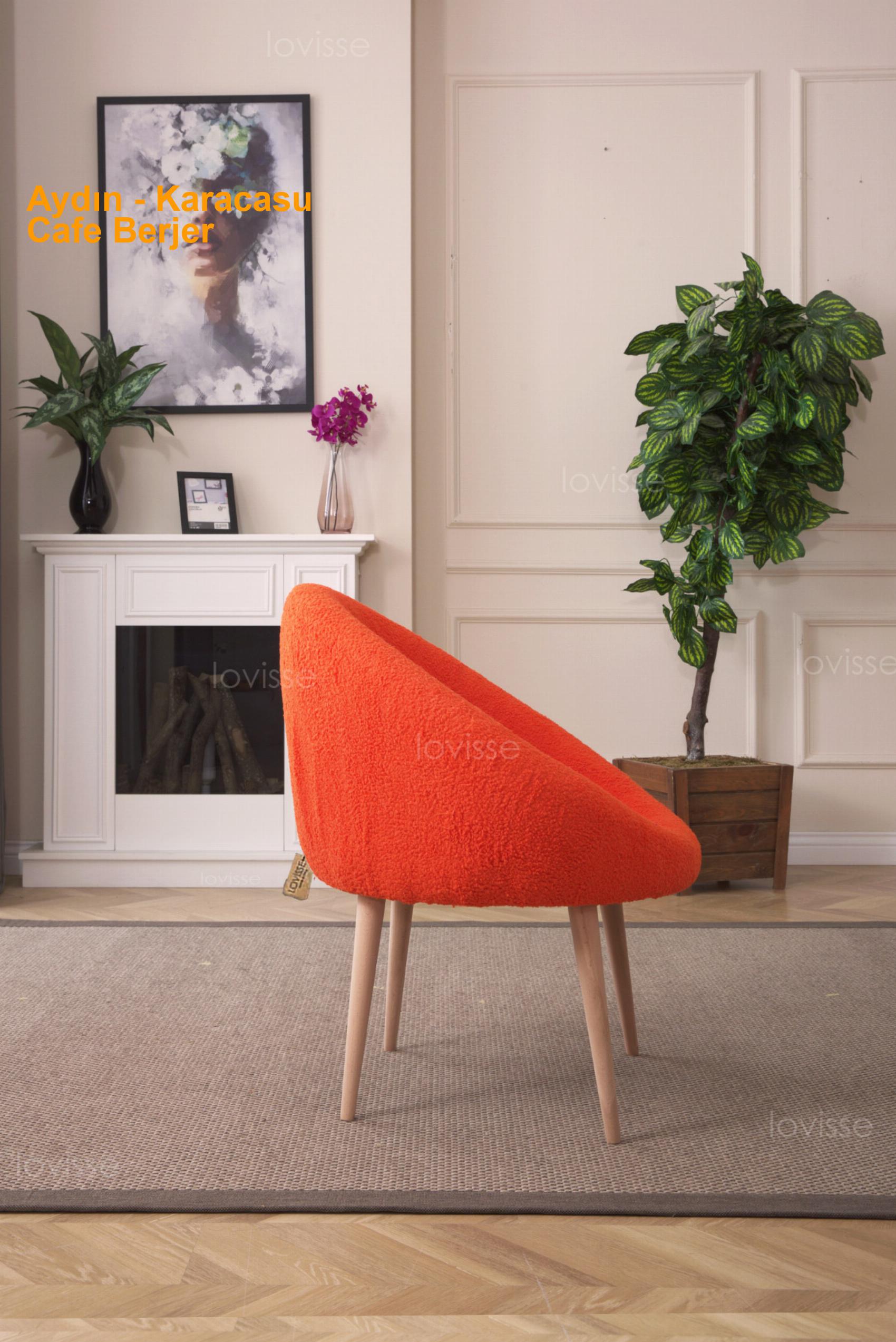 Aydın Karacasu Cafe Berjer