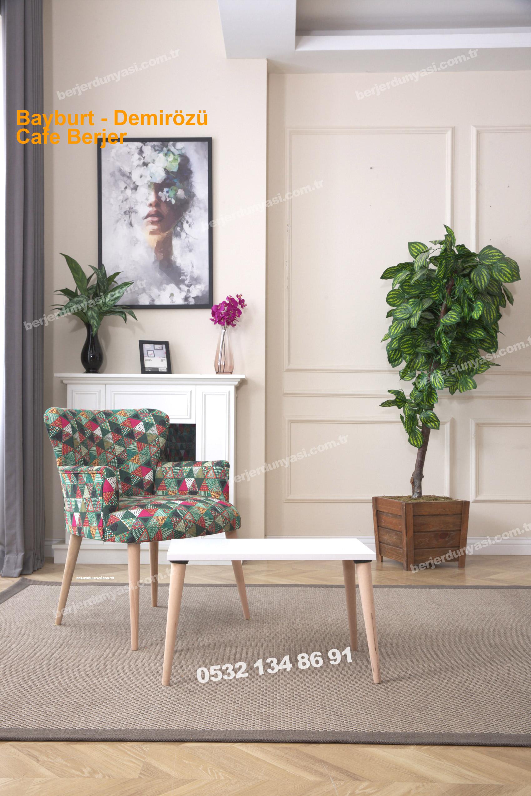 Bayburt Demirözü Cafe Berjer