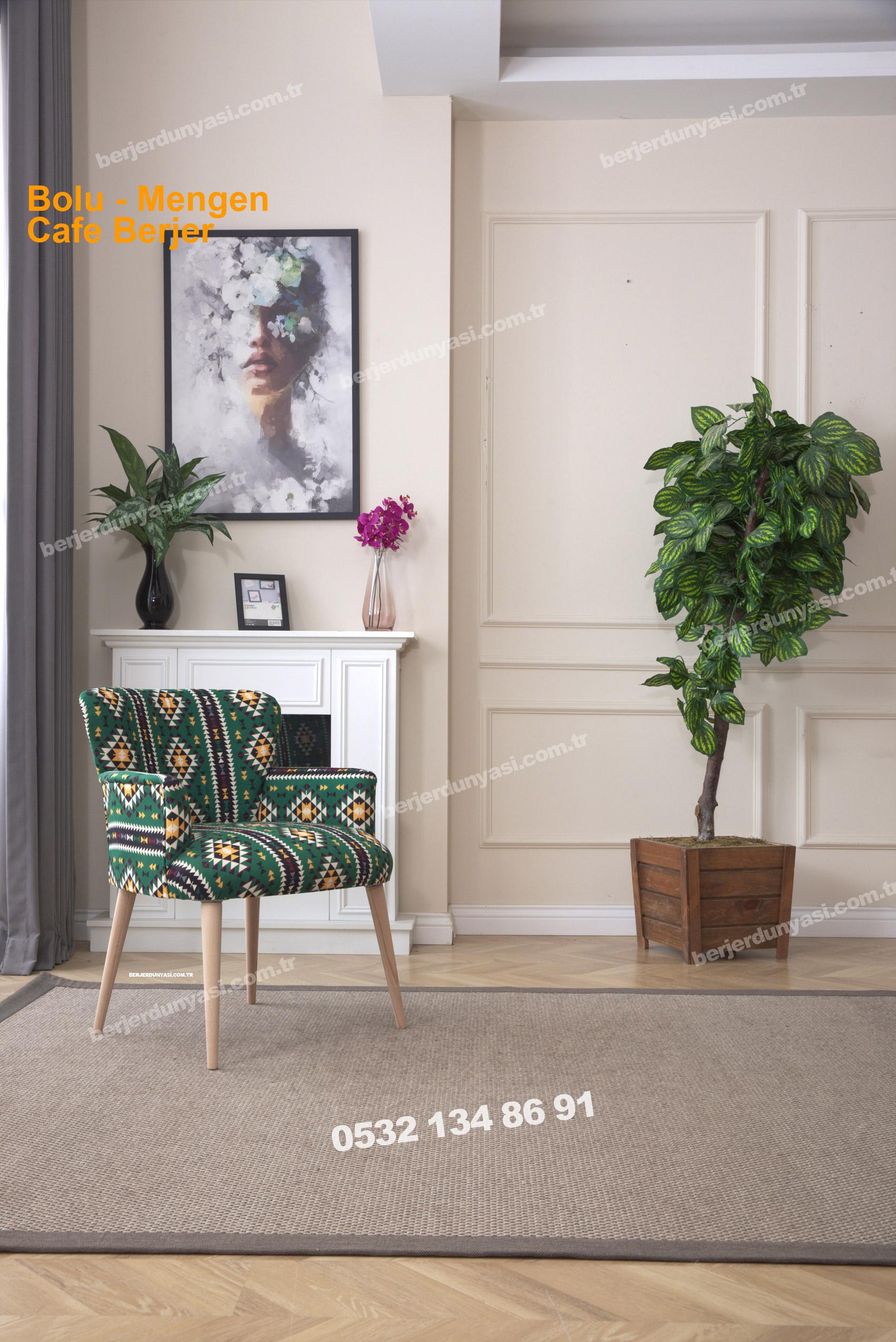 Bolu Mengen Cafe Berjer