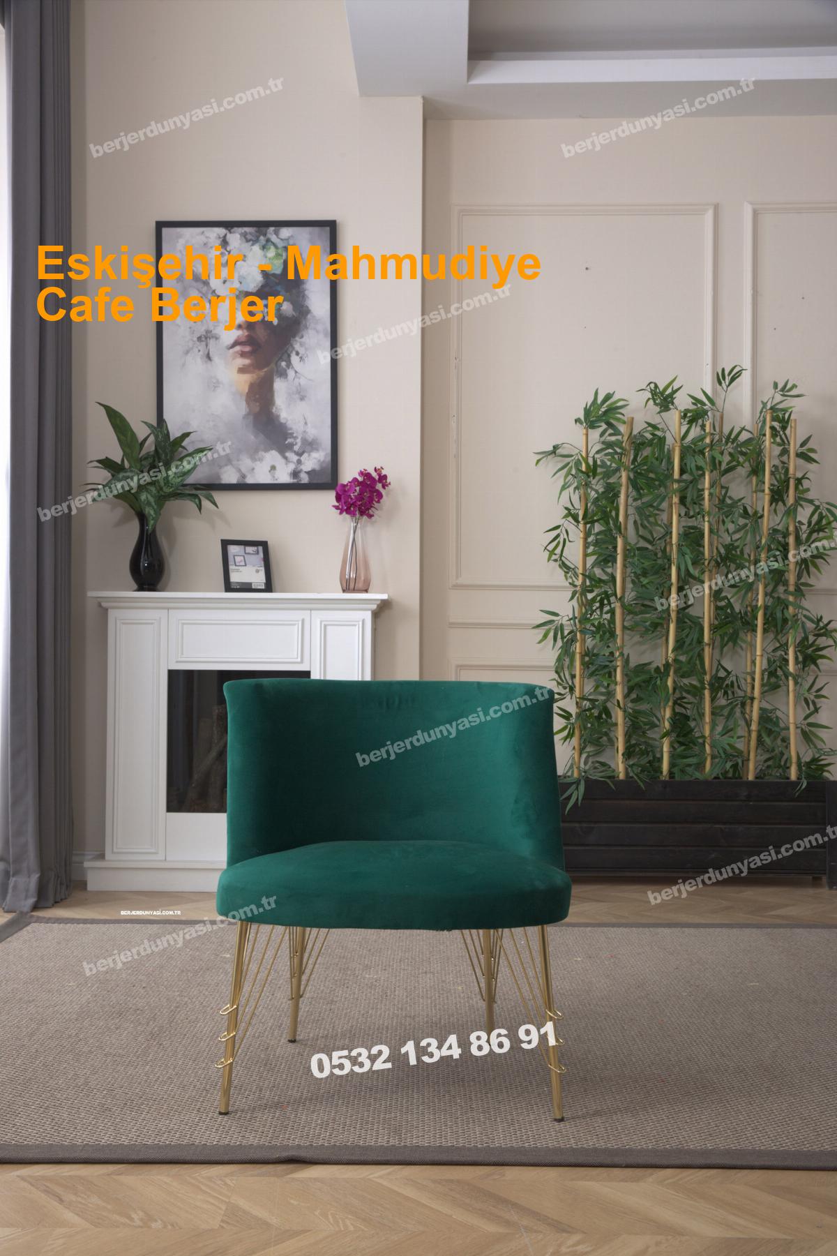 Eskişehir Mahmudiye Cafe Berjer