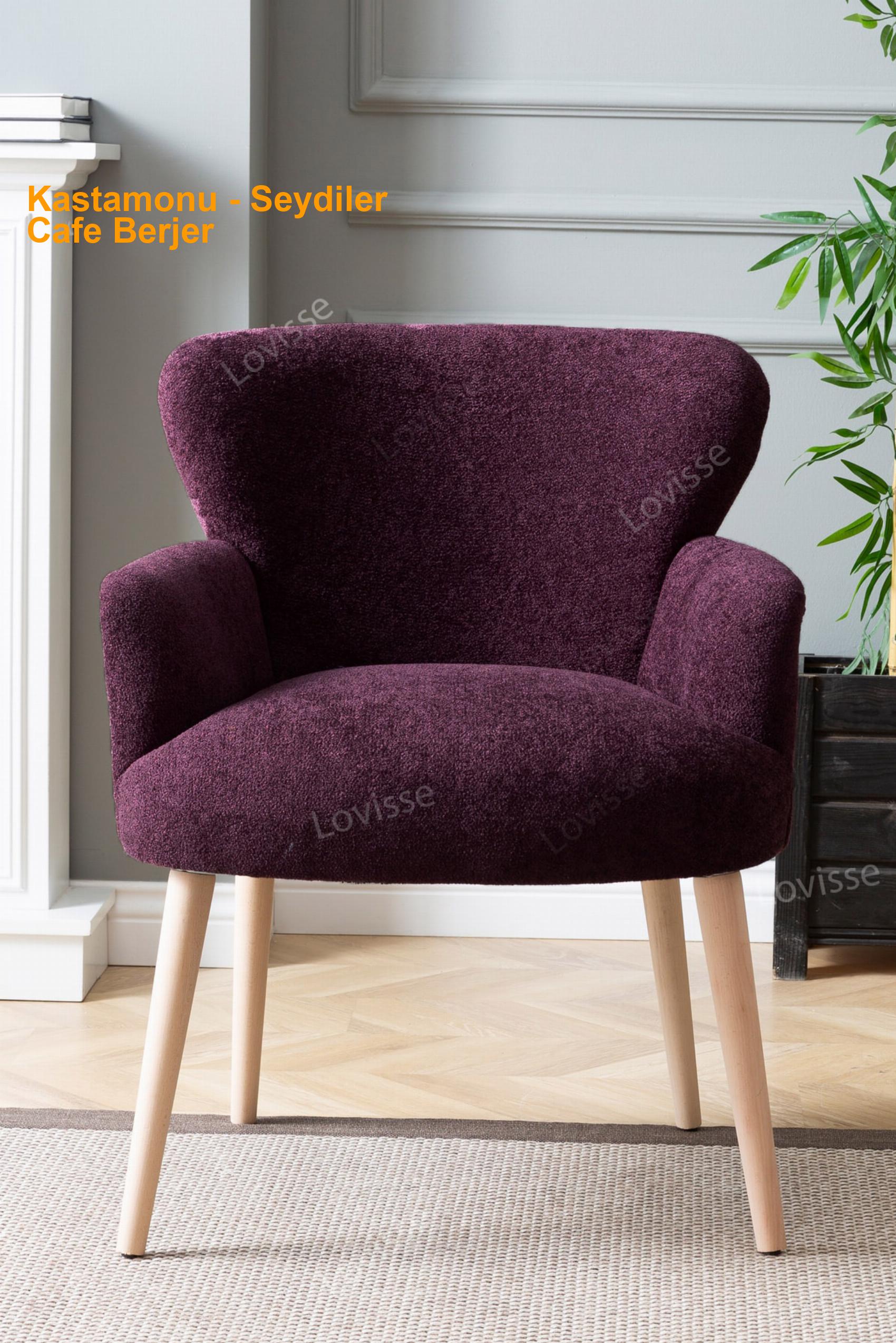 Kastamonu Seydiler Cafe Berjer