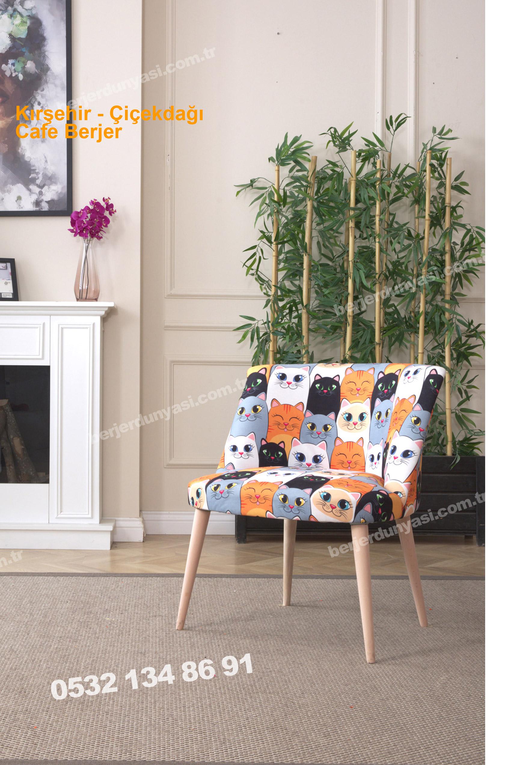 Kırşehir Çiçekdağı Cafe Berjer