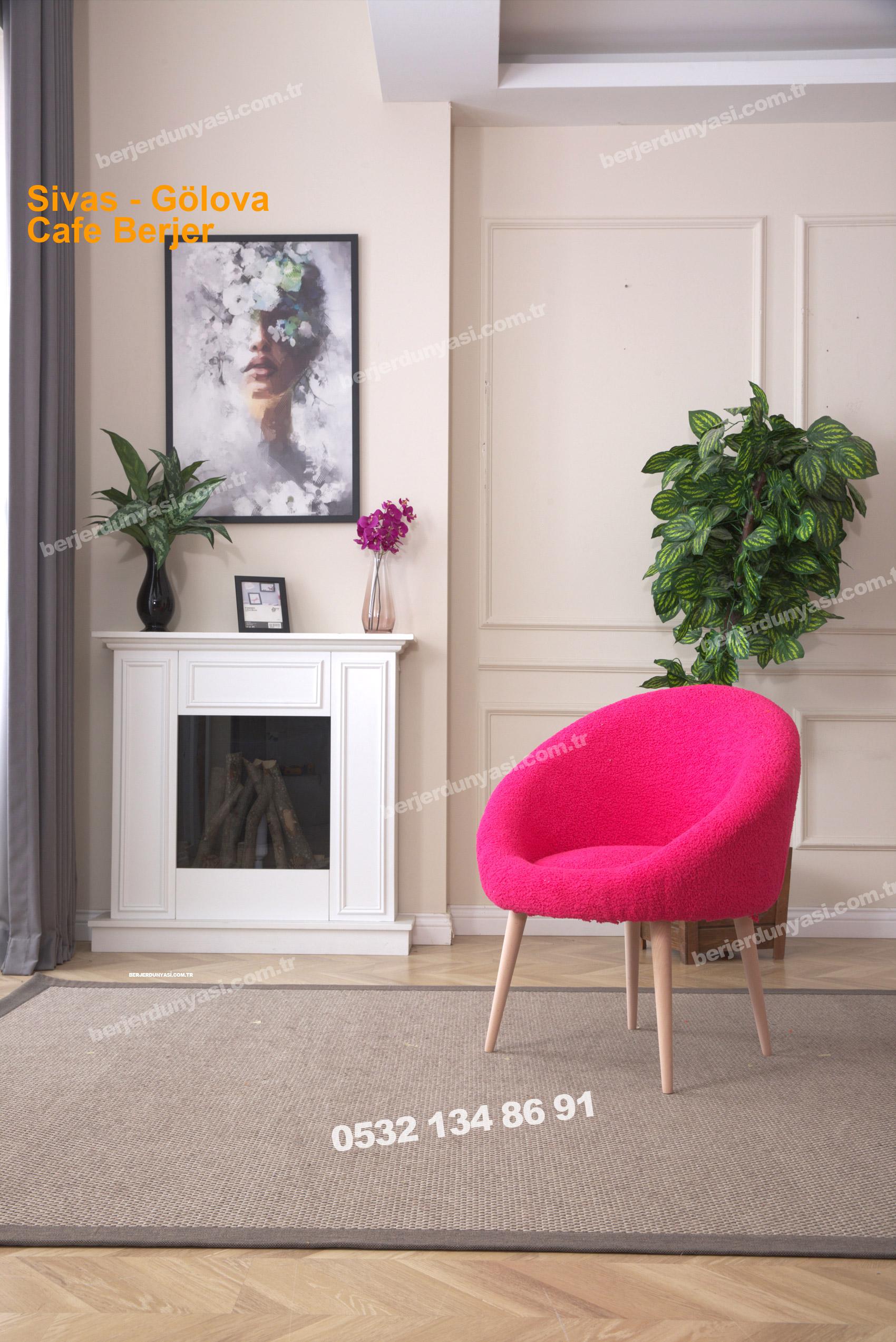Sivas Gölova Cafe Berjer