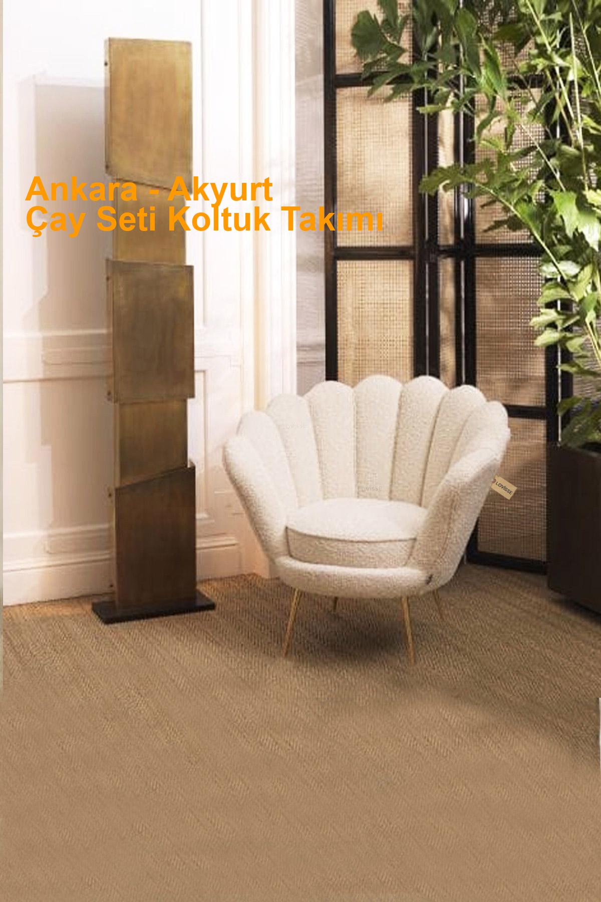 Ankara Akyurt çayseti koltuk