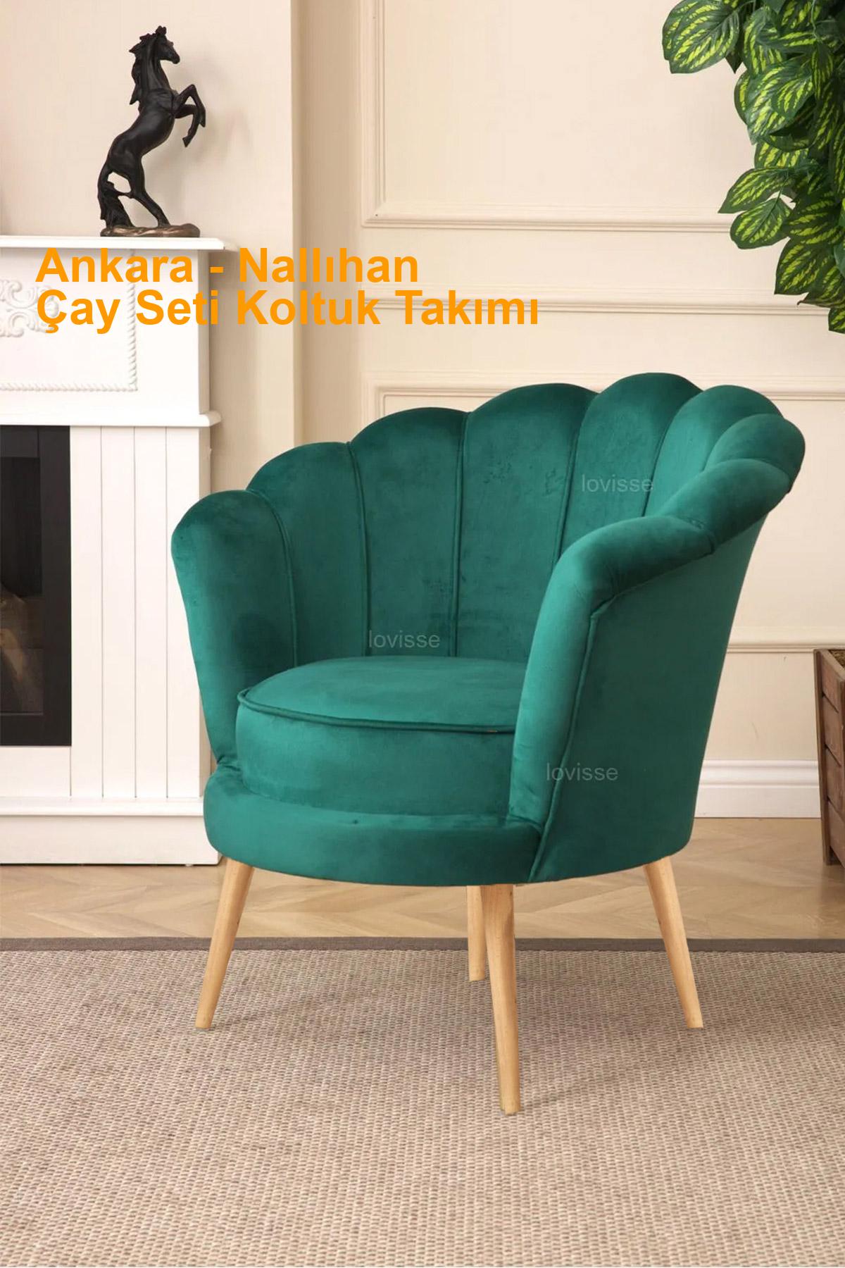 Ankara Nallıhan çayseti koltuk