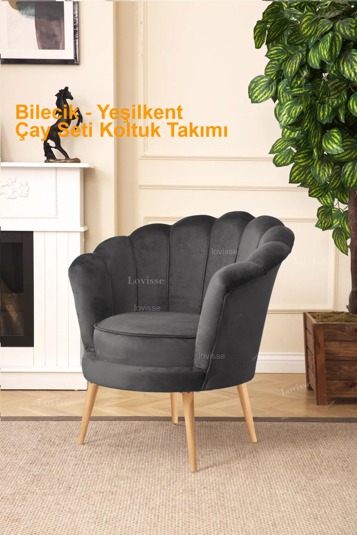 Bilecik Yeşilkent çayseti koltuk