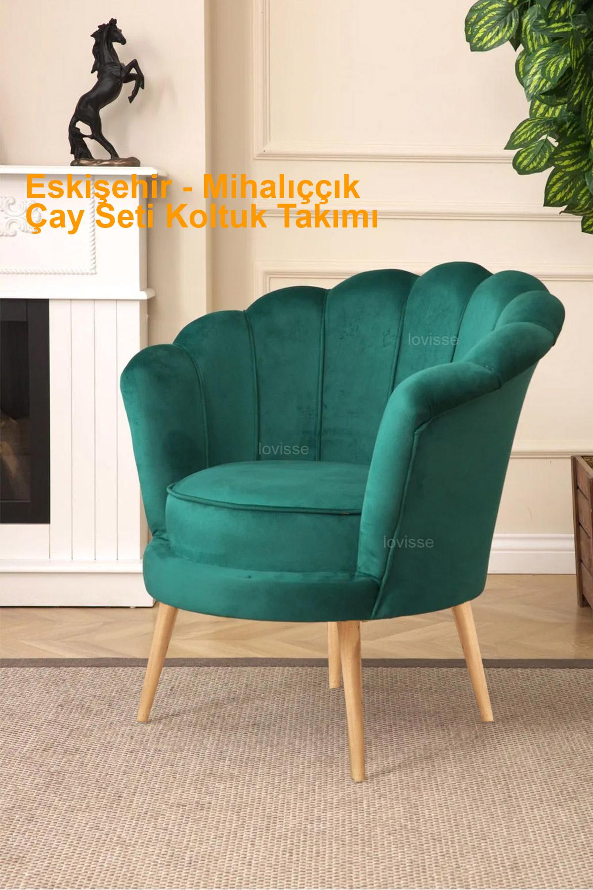 Eskişehir Mihalıççık çayseti koltuk