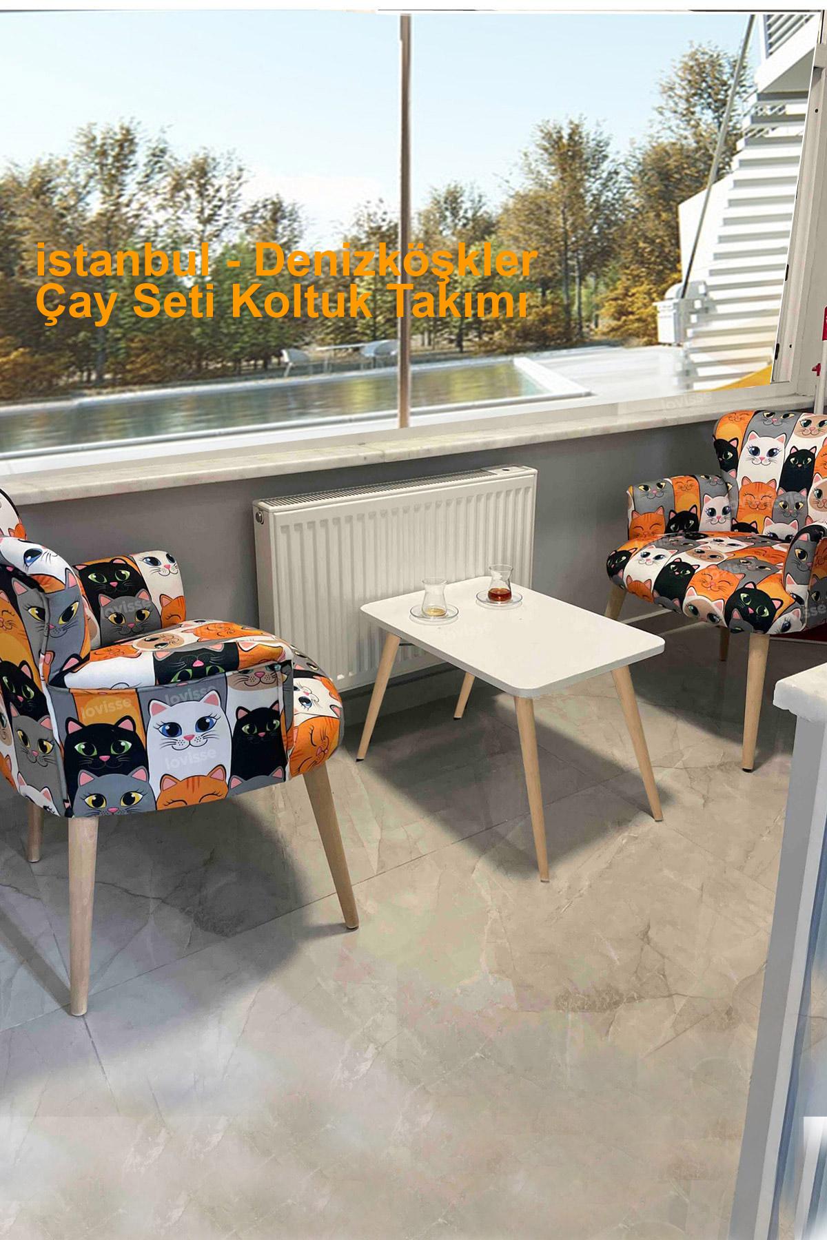 istanbul Denizköşkler çayseti koltuk