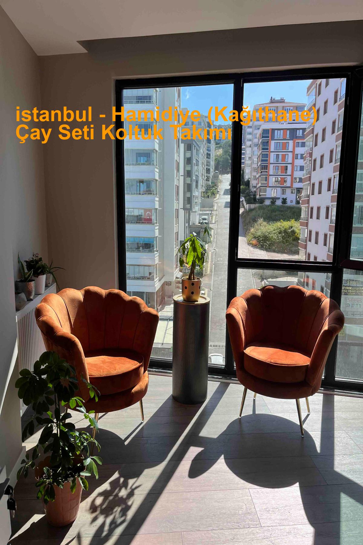 istanbul Hamidiye (Kağıthane) çayseti koltuk